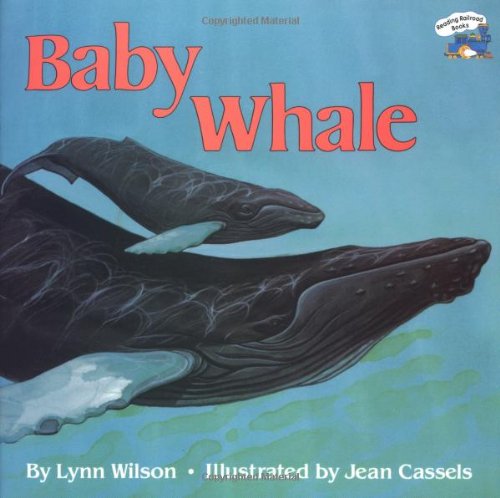 Stock image for Baby Whale for sale by Red Owl Books