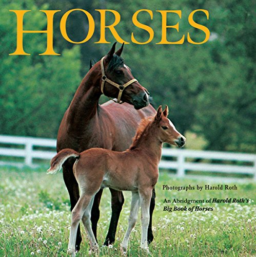 Stock image for Horses for sale by Gulf Coast Books