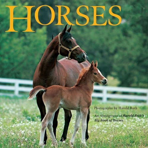 9780448417356: Horses