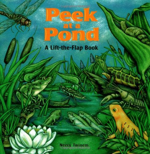 Stock image for Peek at a Pond (Lift-the-flap Book) for sale by Gulf Coast Books