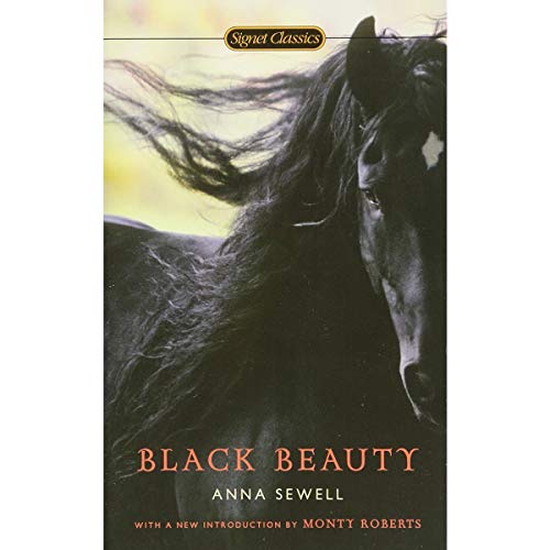 9780448458076: Anna Sewell's Black Beauty