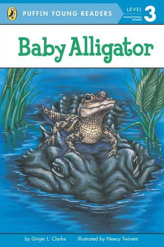 Stock image for Baby Alligator for sale by Apple Book Service