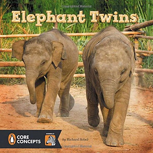 Stock image for Elephant Twins for sale by Better World Books: West