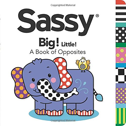 Stock image for Big! Little! : A Book of Opposites for sale by Better World Books