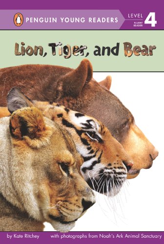 Imagen de archivo de Lion, Tiger, and Bear a la venta por Better World Books: West
