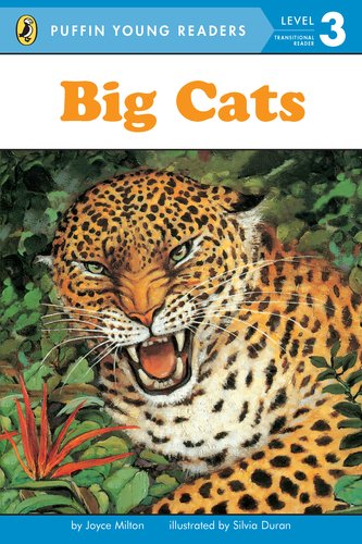 9780448494944: Big Cats. Level 3