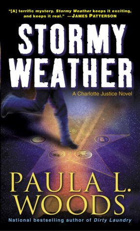 Stock image for Stormy Weather for sale by ThriftBooks-Dallas