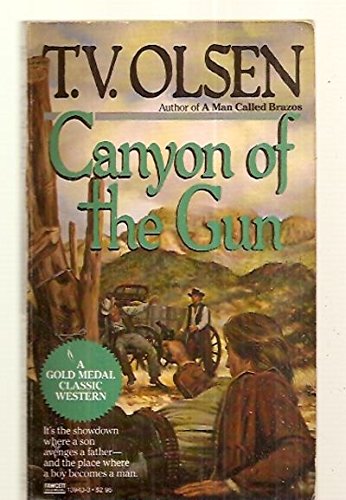 Stock image for Canyon of the Gun for sale by Goldstone Books