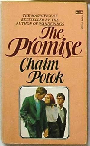 the promise potok the promise potok