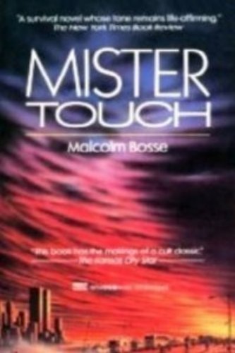 Imagen de archivo de Mister Touch a la venta por Half Price Books Inc.