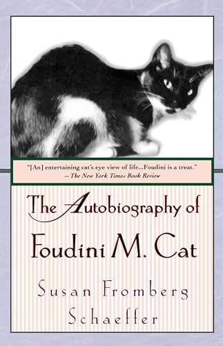 Beispielbild fr The Autobiography of Foudini M. Cat: A Novel zum Verkauf von Your Online Bookstore