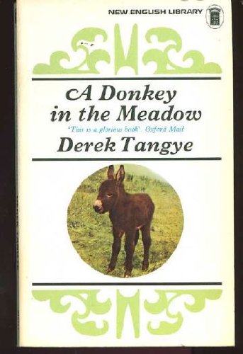 Beispielbild fr Donkey in the Meadow zum Verkauf von WorldofBooks