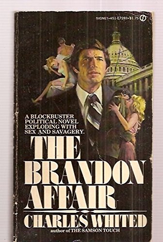 Stock image for BRANDON AFFAIR for sale by Gibson's Books