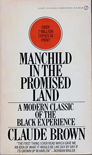 Stock image for Manchild in the Promised Land for sale by Better World Books