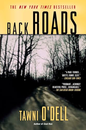 Beispielbild fr Back Roads zum Verkauf von Wonder Book