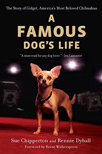 Stock image for A Famous Dog's Life : The Story of Gidget, America's Most Beloved Chihuahua for sale by Better World Books
