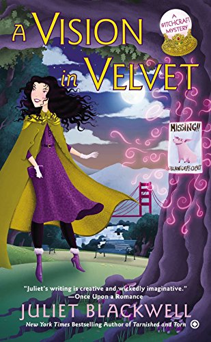 Stock image for A Vision in Velvet (Witchcraft Mystery) for sale by HPB-Diamond