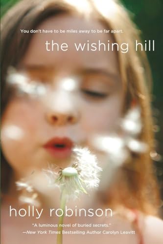 Stock image for The Wishing Hill: A Novel for sale by SecondSale