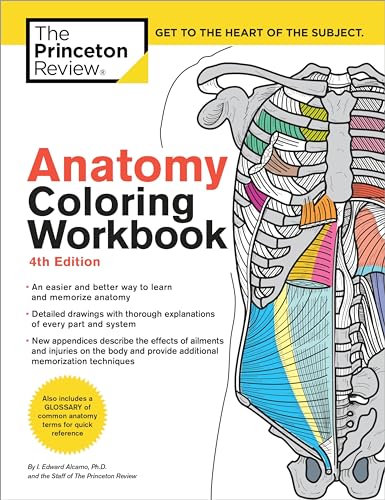 Stock image for Anatomy Coloring Workbook, 4th Edition: An Easier and Better Way to Learn Anatomy for sale by ZBK Books