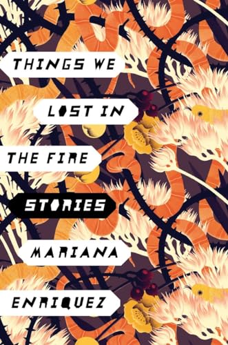 9780451495112: Things We Lost in the Fire: Stories