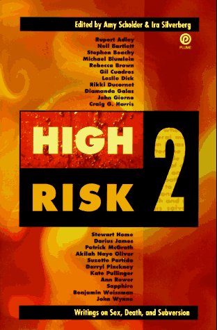 Beispielbild fr High Risk 2: Writings on Sex, Death, and Subversion zum Verkauf von Robinson Street Books, IOBA