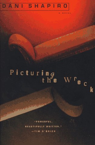 Beispielbild fr Picturing the Wreck zum Verkauf von Better World Books: West