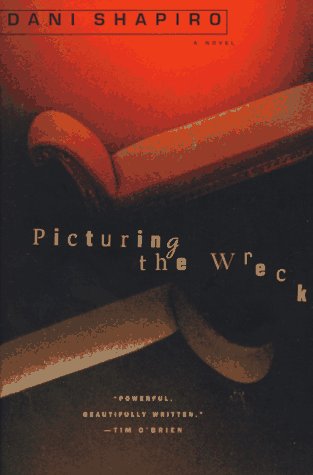 Stock image for Picturing the Wreck for sale by Better World Books: West