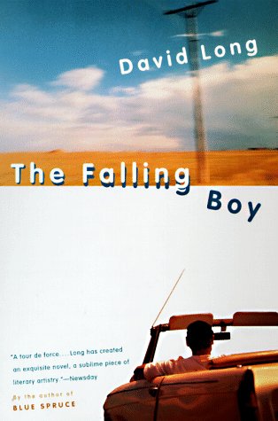 Stock image for The Falling Boy: A Novel for sale by SecondSale