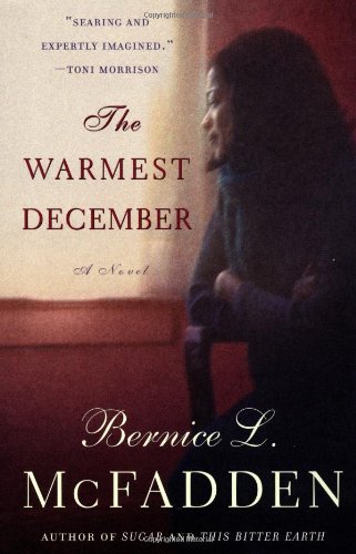 Beispielbild fr The Warmest December zum Verkauf von Wonder Book