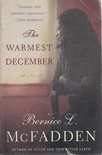 Stock image for The Warmest December for sale by Wonder Book