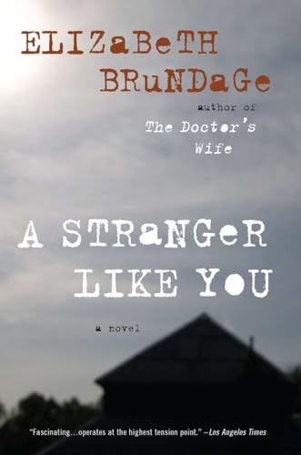 Imagen de archivo de A Stranger Like You: A Novel a la venta por Gulf Coast Books