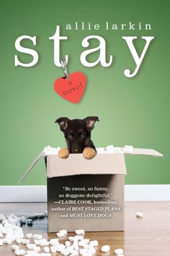 9780452297128: Stay: A Novel