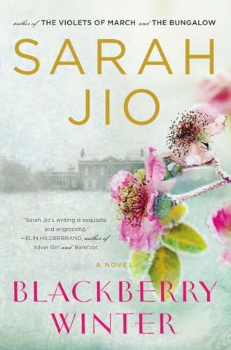 Beispielbild fr Blackberry Winter: A Novel zum Verkauf von SecondSale