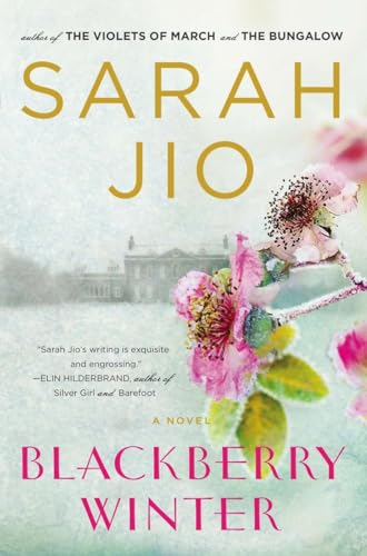 9780452298385: Blackberry Winter: A Novel
