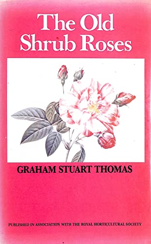 Imagen de archivo de Old Shrub Roses a la venta por Ergodebooks