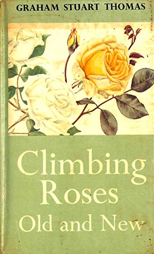 Climbing Roses: Old and New