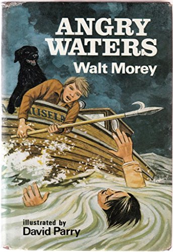 9780460058056: Angry Waters (Signal Books)