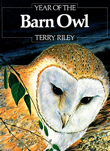 Beispielbild fr Year of the Barn Owl zum Verkauf von ThriftBooks-Dallas