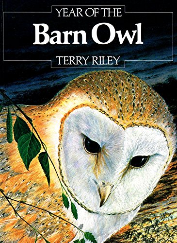 Stock image for Year of the Barn Owl for sale by Better World Books