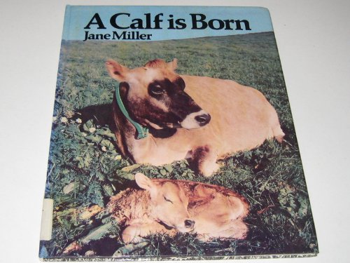 A Calf is Born (9780460069861) by Miller, Jane