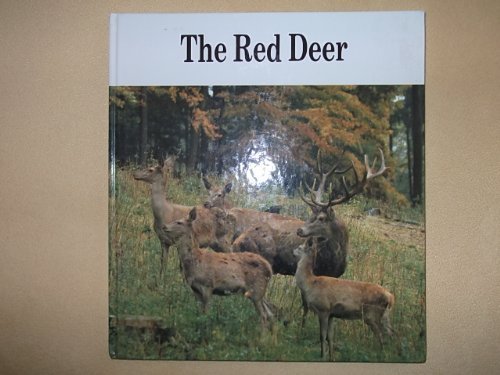 Imagen de archivo de The Red Deer a la venta por AwesomeBooks