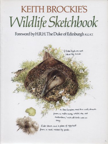 Stock image for Keith Brockie's Wildlife Sketchbook for sale by WorldofBooks