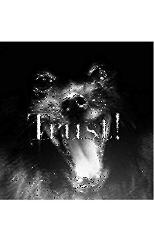 Beispielbild fr Trust pomerainan dog Journal : Trust Black Pomerainan Dog Journal zum Verkauf von Buchpark