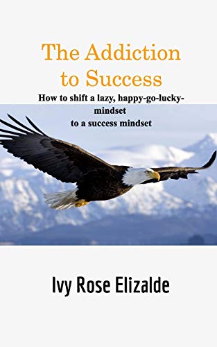 9780464254072: The Addiction to Success