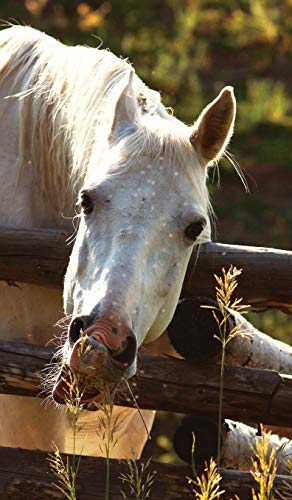 Imagen de archivo de Kids Petite Equine Leftie Journal: Equine Themed Wide Ruled Journal or Notebook a la venta por WorldofBooks