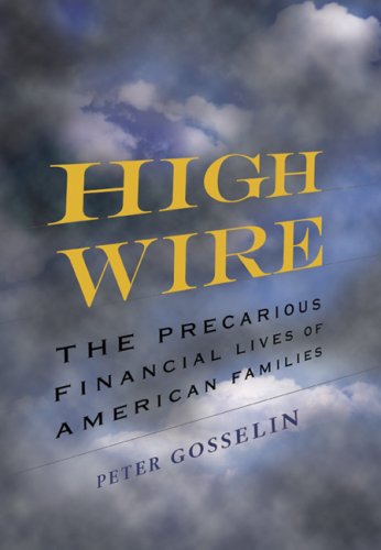 Stock image for High Wire : The Precarious Financial Lives of American Families for sale by Better World Books: West