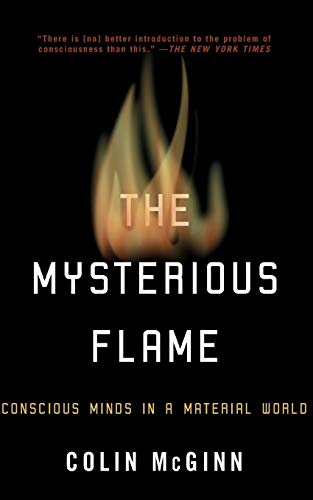 Beispielbild fr The Mysterious Flame: Conscious Minds in a Material World zum Verkauf von Jenson Books Inc