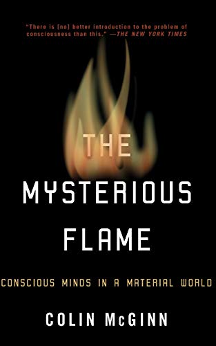 Imagen de archivo de The Mysterious Flame: Conscious Minds in a Material World a la venta por Jenson Books Inc