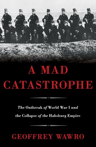 9780465028351: A Mad Catastrophe: The Outbreak of World War I and the Collapse of the Habsburg Empire