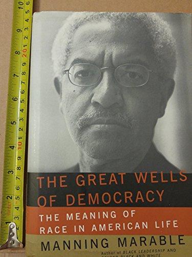 Stock image for The Great Wells of Democracy : The Meaning of Race in American Life for sale by Better World Books